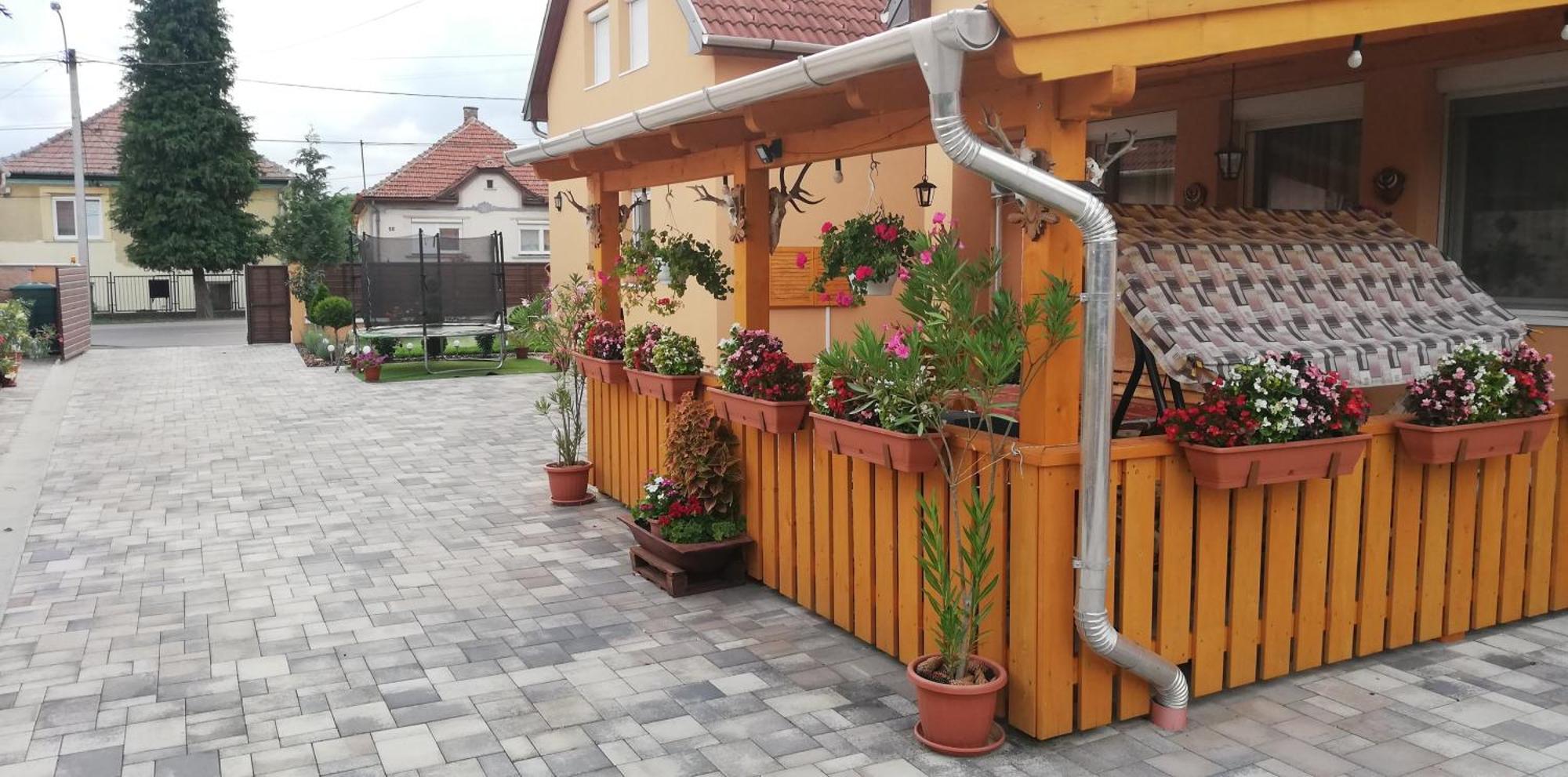 Vila Agica Vendeghaz Andornaktálya Exteriér fotografie